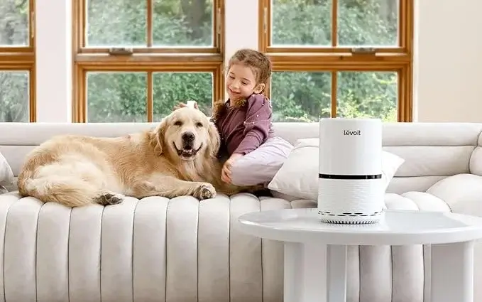 LEVOIT Air Purifiers for Home, High Efficient Filter for Smoke, Dust and Pollen in Bedroom, Filtration System Odor Eliminators for Office with Optional Night Light, LV-H132 1 Pack, White